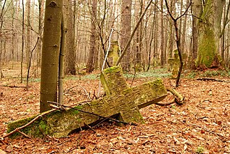 Wyróżnienie: Fragment rozległego dawnego cmentarza greckokatolickiego we wsi Podemszczyzna w gminie Horyniec-Zdrój. Autor: Cyfranek.