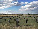 Die rekonstruierten Timber Circles von Woodhenge