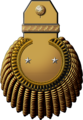 Epqulette for a Russian Major general in 1850.