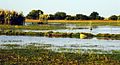 Lake Bangweulu