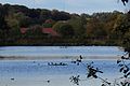 Stausee vor der Stadt Herzogenrath