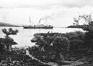 Die S.S. Reynst Anfang des 20. Jahrhunderts in der Bucht von Palu