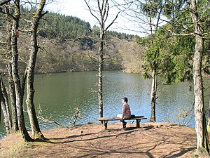 De zijtakken van de ourthe die samenvloeien