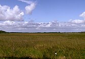The primary feature of the Everglades is the sawgrass prairie.