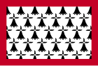 Flagge der früheren Region Limousin