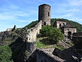 Burg Střekov (Hrad Střekov)