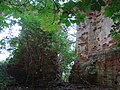 Inneres der Ruine