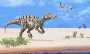 Romualdo Formation environment restoration