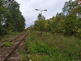 Station Okleśna