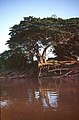 laotisches Mekong-Ufer