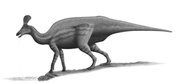 A Tsintaosaurus rekonstrukciója