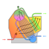 Plain (ساده)