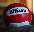 Wilson Volleyball