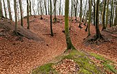 Hauptburg von Norden