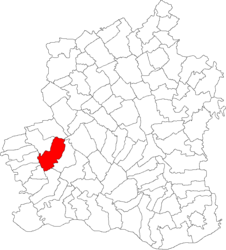 Location in Teleorman County