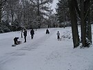 Rombergpark im Winter