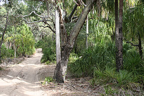 Piste von Norden her in den Deepwater-Nationalpark