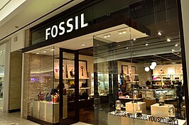 Fossil