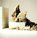 Kopf aus Sand, 1979