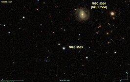 NGC 5565