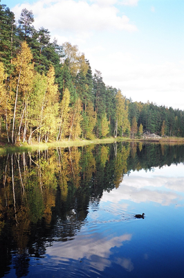 Nationaal park Nuuksio