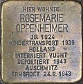 Stolperstein für Rosemarie Oppenheimer in der Mainzer Altstadt