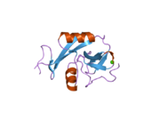 2h2t: CD23 Lectin domain, Calcium 2+-bound