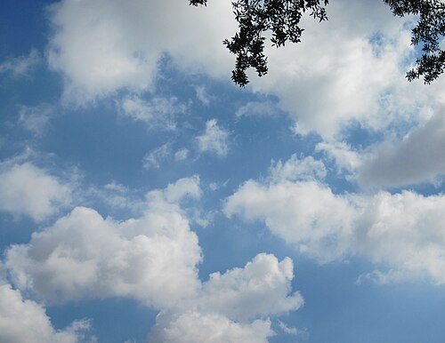 White clouds in a blue sky. Boughs of an oak tree in the top right.