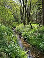 Waldbachtal