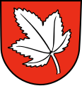 Ahorn (Baden) (redend)