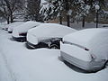 Cars were completely covered in Columbus, Ohio