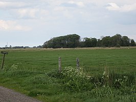 Eanjumerkolken met eendekooi