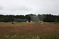 Ruine eines Gehöfts (2009)