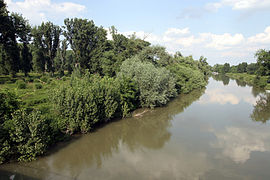 Der Altrhein bei Stockstadt am Rhein. Links vom Fluss das Naturreservat.