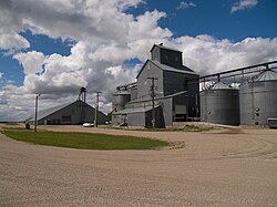 Grain elevators in Leal