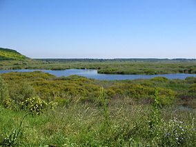 Lacul Srebărna