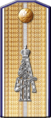 shoulder board 1908