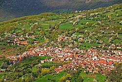 Prizren Municipality