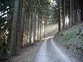 Wanderweg zum Ziegenberg