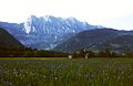 Steiermark, Schwertlilien-Wiesen W Liezen, hinten: Totes Gebirge mit dem Nazogl