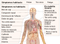 català (کاتالان)