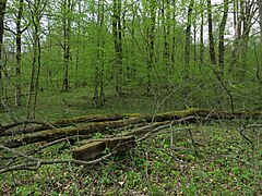 Cerkwisko na cmentarzu greckokatolickim