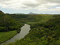 Wailua River