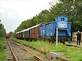 Museumsbahnzug im Bahnhof Dornum