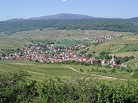 A general view of Westhalten