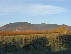 Kalmitmassiv, von links Breitenberg, Kalmit, Kanzel, Wetterkreuzberg