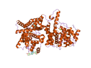 2ouu: crystal structure of PDE10A2 mutant D674A in complex with cGMP