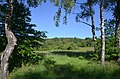 Blick über die Reifenberger Wiesen zum Großen Feldberg