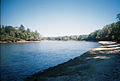 View of the Apalachicola River in Torreya State Park