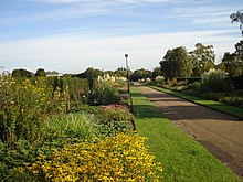 photograph of gardens at Waterloo Park